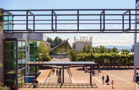 modern glass building and beautiful landscaping